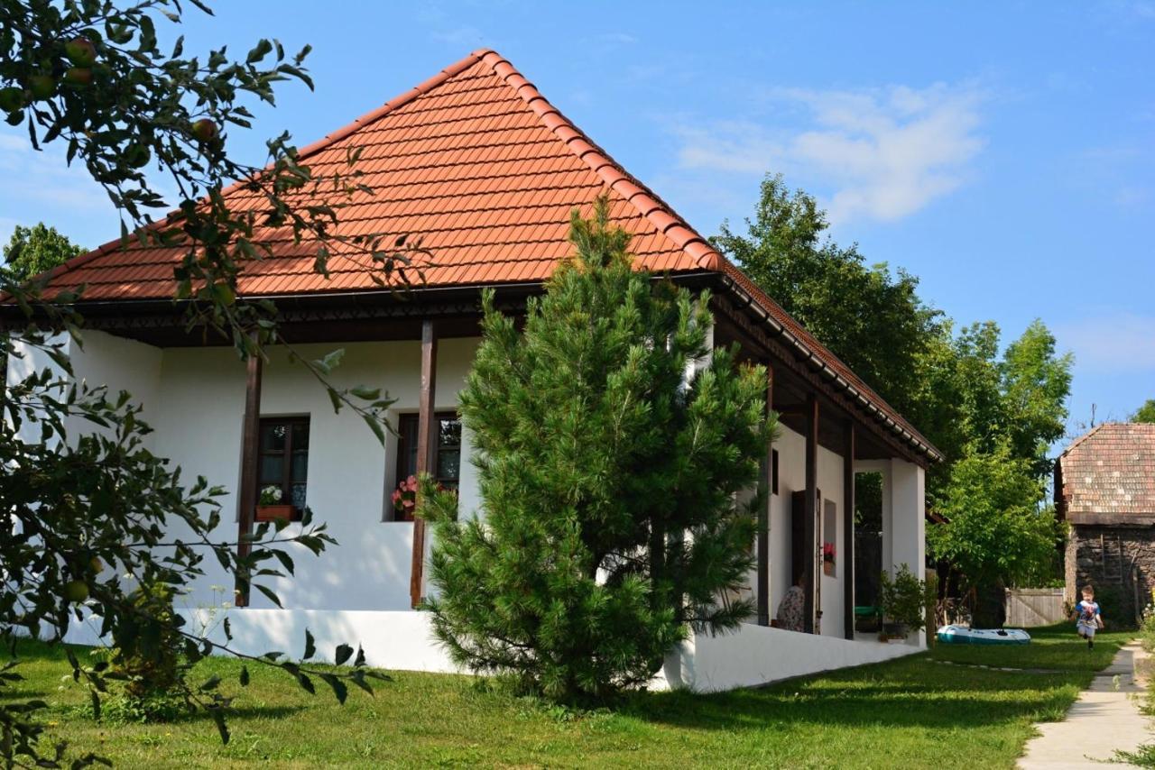Ubytovanie Na Vcelej Farme Polichno Zewnętrze zdjęcie